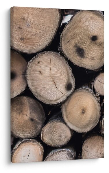 Quadro su tela – Dettaglio del legno