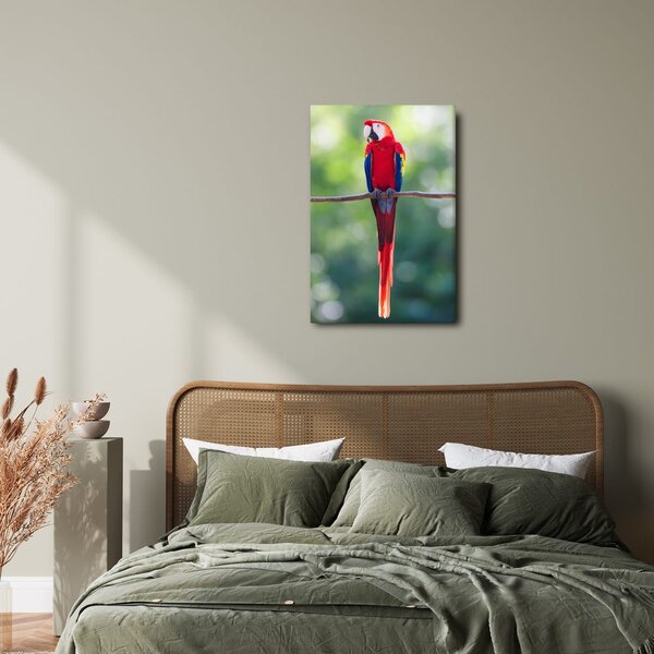 Quadro su tela – Pappagallo rosso su un ramo