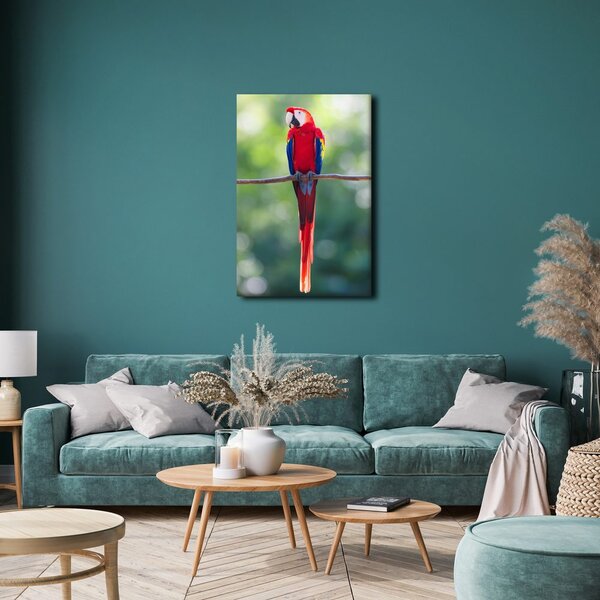 Quadro su tela – Pappagallo rosso su un ramo
