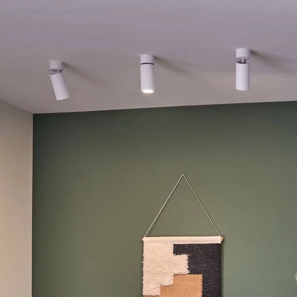 Paulmann Plafoniera LED Turnal Coin, bianca, in metallo, 2.700 K dimmerabile, Bianco / Opale, Soggiorno / Sala da pranzo, Metallo, Moderno, Downlight