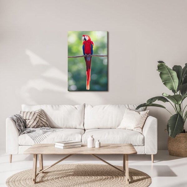 Quadro su tela – Pappagallo rosso su un ramo