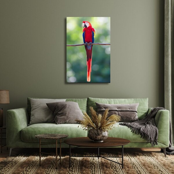 Quadro su tela – Pappagallo rosso su un ramo