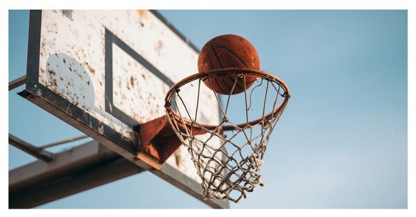 Quadro su tela – Palla nel canestro da basket
