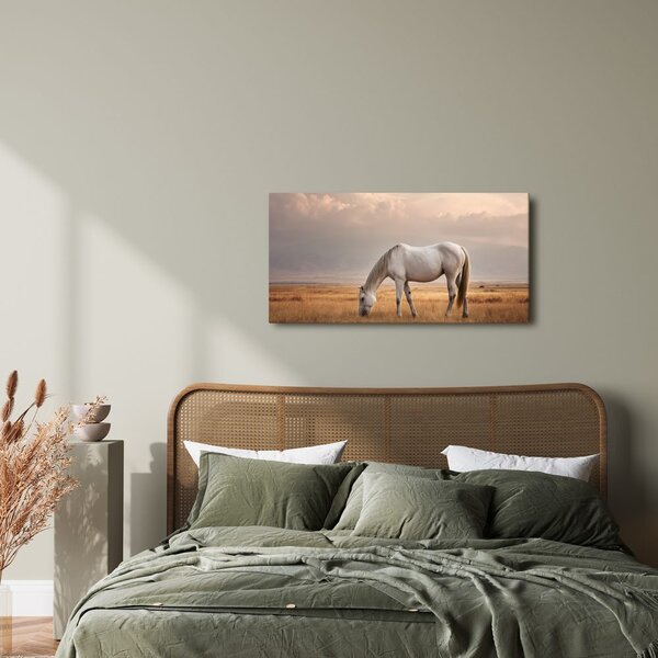 Quadro su tela – Cavallo bianco nel paesaggio