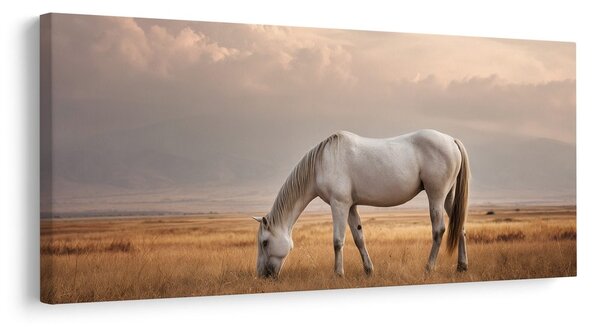 Quadro su tela – Cavallo bianco nel paesaggio