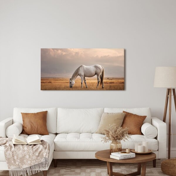 Quadro su tela – Cavallo bianco nel paesaggio