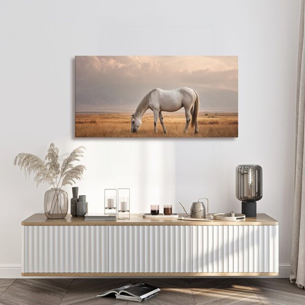Quadro su tela – Cavallo bianco nel paesaggio