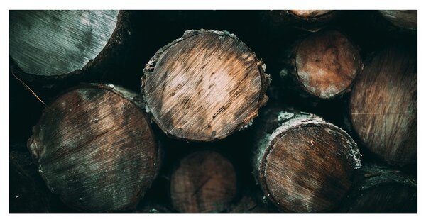 Quadro su tela – Texture naturale del legno