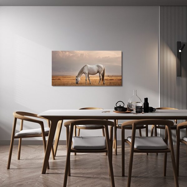 Quadro su tela – Cavallo bianco nel paesaggio