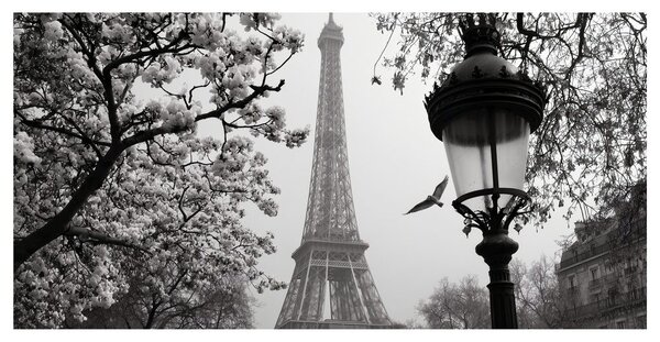 Quadro su tela – Romantica Parigi invernale