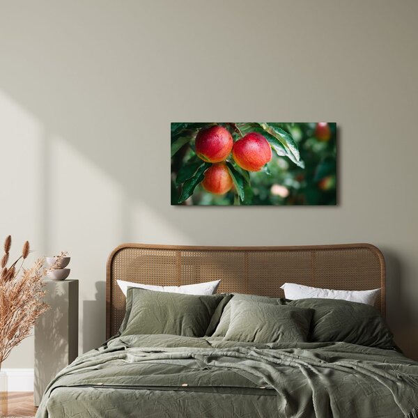 Quadro su tela – Gocce di rugiada sulle mele