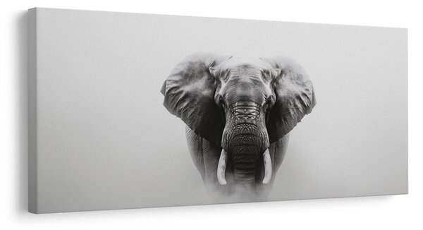 Quadro su tela – Ritratto di elefante in bianco e nero