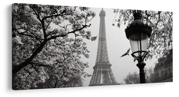Quadro su tela – Romantica Parigi invernale