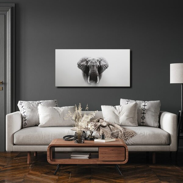Quadro su tela – Ritratto di elefante in bianco e nero
