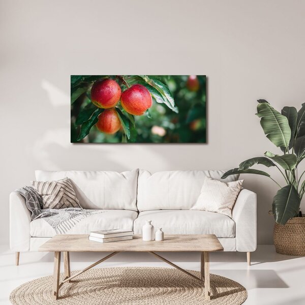 Quadro su tela – Gocce di rugiada sulle mele