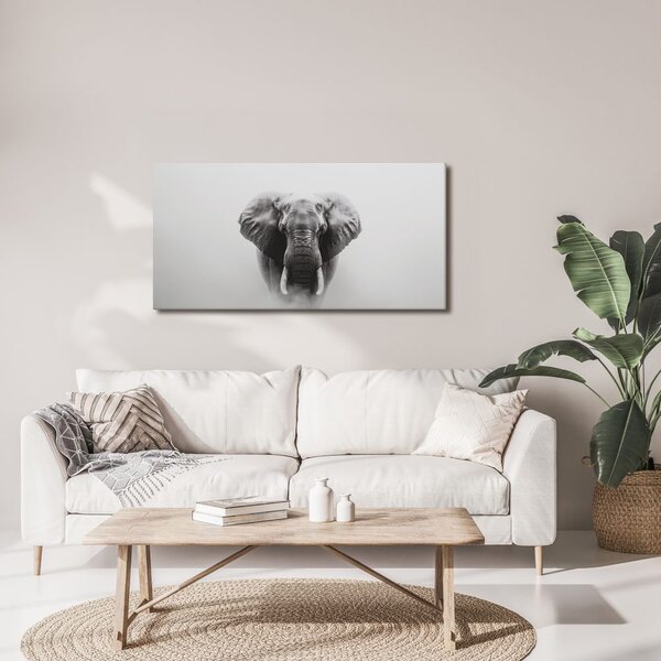 Quadro su tela – Ritratto di elefante in bianco e nero