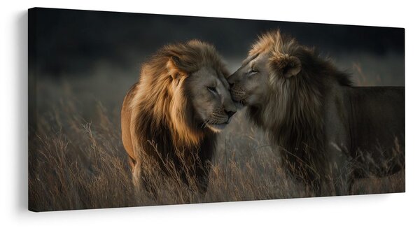 Quadro su tela – Armonia regale del leone