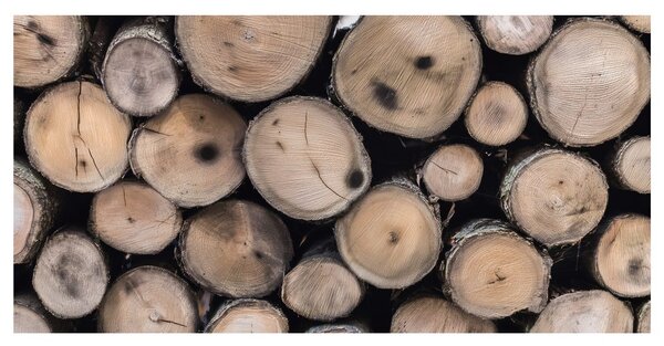 Quadro su tela – Struttura dei tronchi di legno