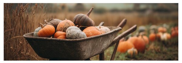 Quadro su tela – Paesaggio autunnale rurale