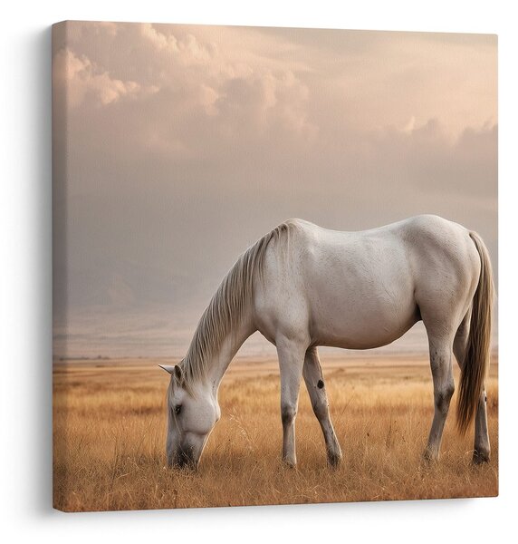 Quadro su tela – Cavallo solitario nel prato