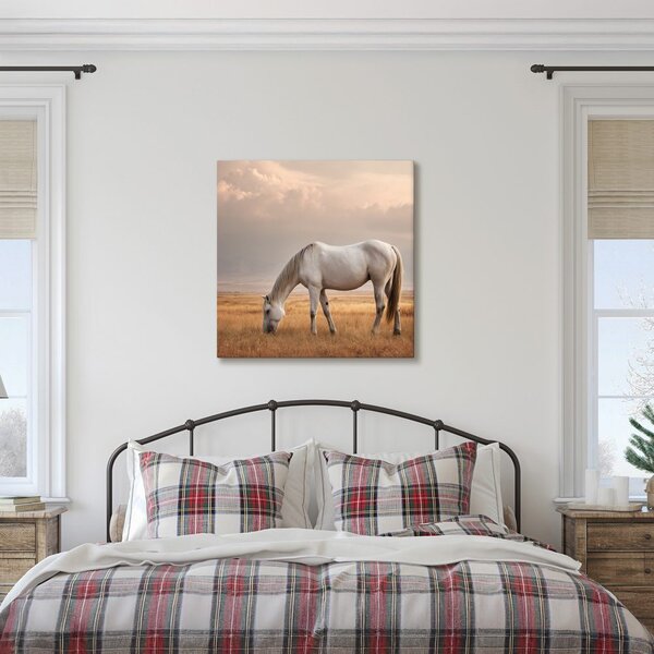Quadro su tela – Cavallo solitario nel prato