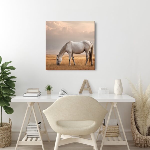Quadro su tela – Cavallo solitario nel prato