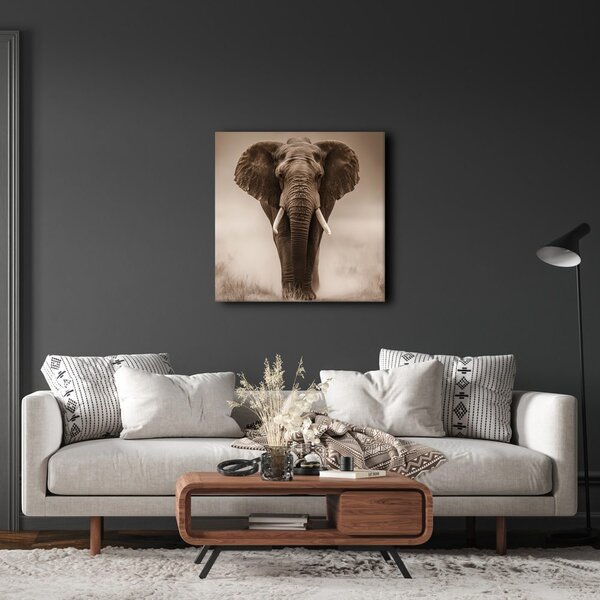 Quadro su tela – Elefante africano nella nebbia