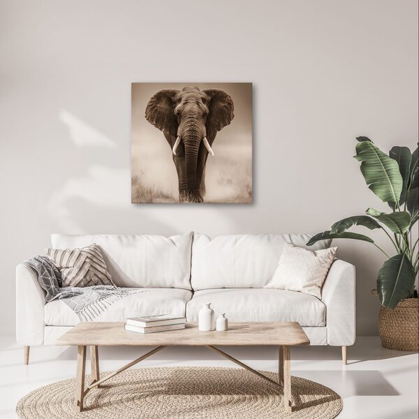 Quadro su tela – Elefante africano nella nebbia