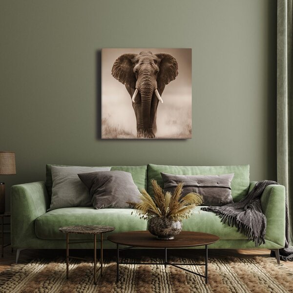 Quadro su tela – Elefante africano nella nebbia