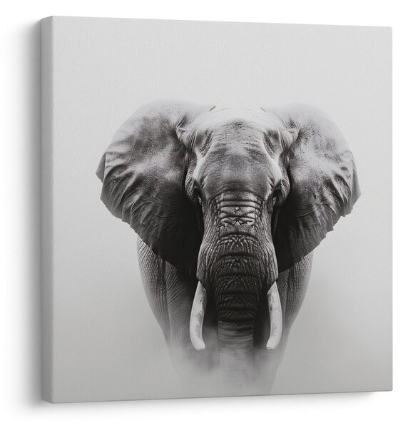 Quadro su tela – Forza e serenità dell'elefante