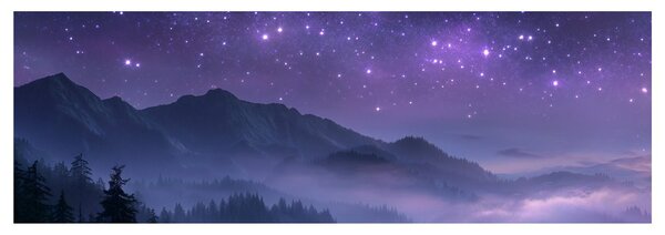 Quadro su tela – Paesaggio misterioso sotto le stelle