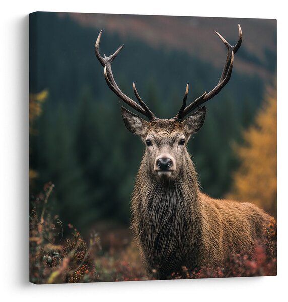 Quadro su tela – Cervo nel bosco incantato