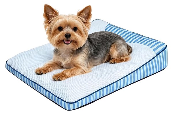 Cuccia fresca per cani con cuscino imbottito