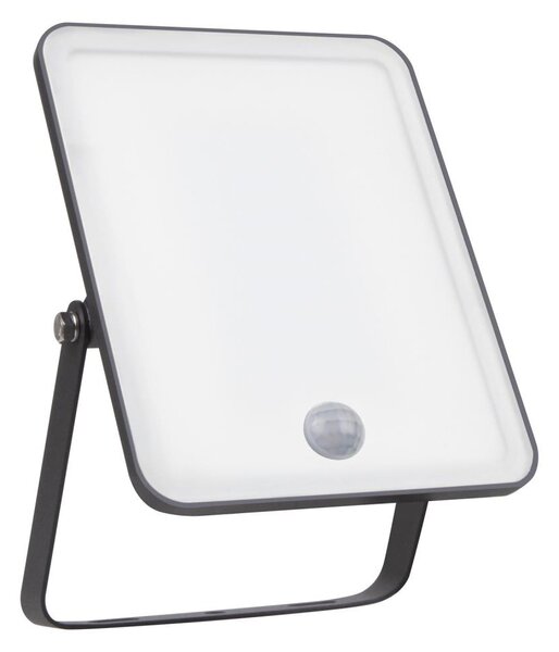 Ledvance - Proiettore LED da parete per esterni con sensore FLOODLIGHT LED/30W/230V IP65