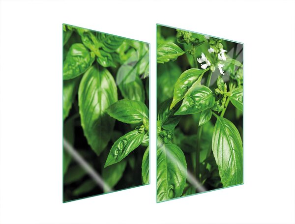 Piastre copri fornelli 2 pezzi 35x52 Vetroceramica copri piano cottura vetro tagliere fogliame verde