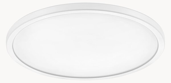 Plafoniera piccola a LED con luce regolabile Oja