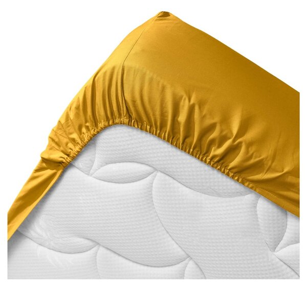 Lenzuolo giallo elasticizzato in cotone biologico 160x200 cm Biolina - douceur d'intérieur