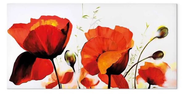 Quadro su tela Natura fiorita - motivo vegetale con papaveri rossi