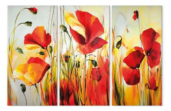 Quadro moderno Prato rosso (3 parti) - natura con motivo floreale e papaveri
