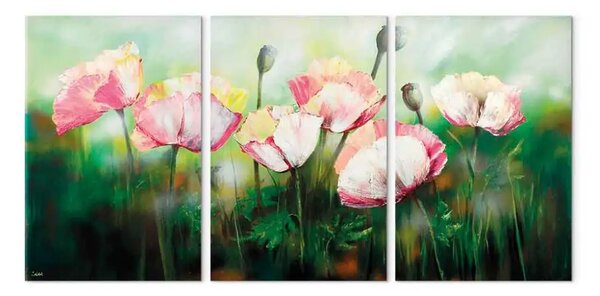 Quadro Prato pieno di papaveri sbiaditi (3 parti) - fiori su sfondo erboso