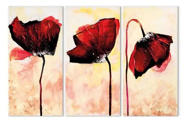 Quadro moderno Tre fiori rossi (3 pezzi) - Papaveri su sfondo con delicato colore