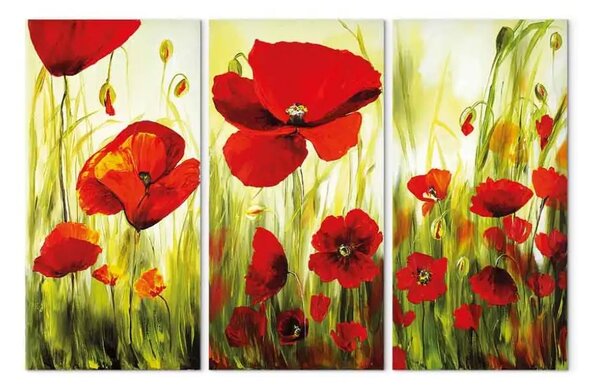 Quadro su tela Papaveri (3 pezzi) - Prato di fiori dai colori vivaci su sfondo chiaro