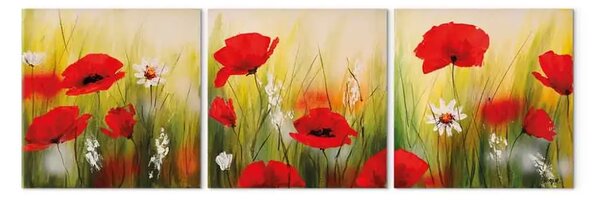 Quadro moderno Papaveri e margherite (3 pezzi) - Prato colorato con effetto rugiada