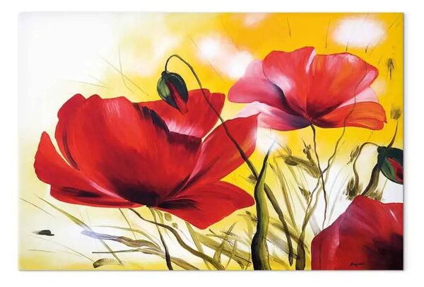 Quadro contemporaneo Splendidi papaveri - Prato di fiori su sfondo soleggiato