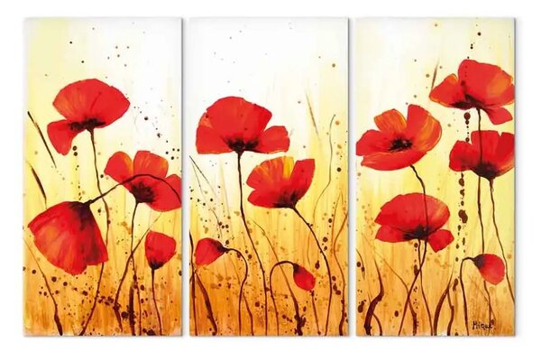 Quadro Prato d'oro di papaveri (3 pezzi) - Fiori rossi su sfondo con macchie