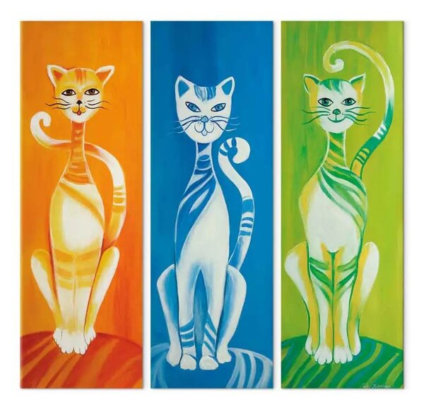 Quadro Gatti colorati