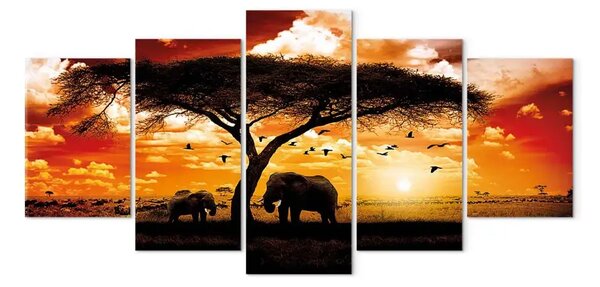 Quadro Uccelli sopra la savana