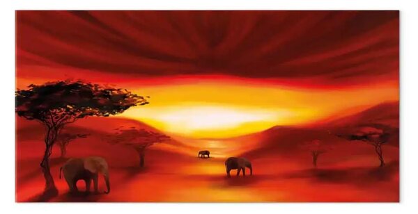 Quadro su tela Le luci del tramonto in Africa