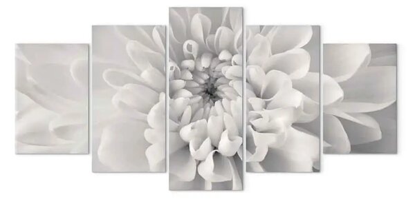 Quadro su tela Dalia in grigio