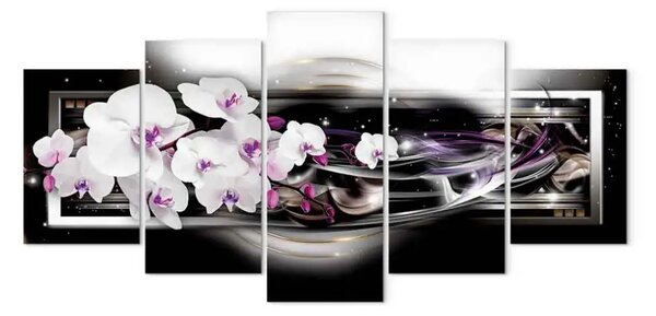 Quadro Orchidee su sfondo nero